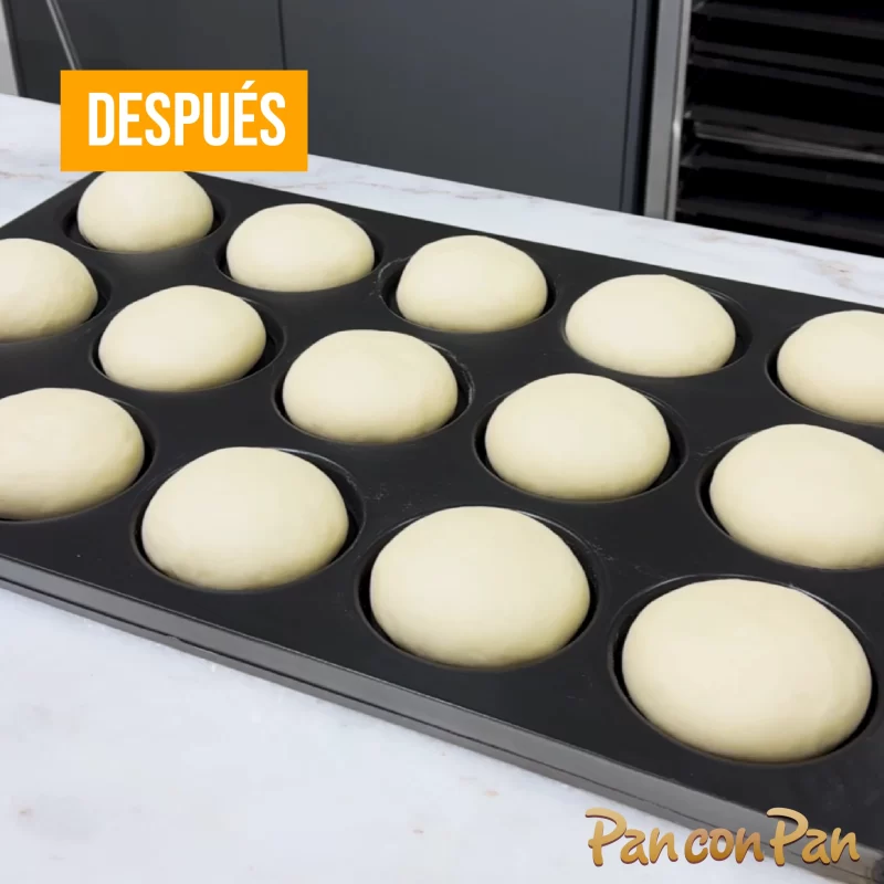 Fermentación controlada para producir más en menos tiempo 3